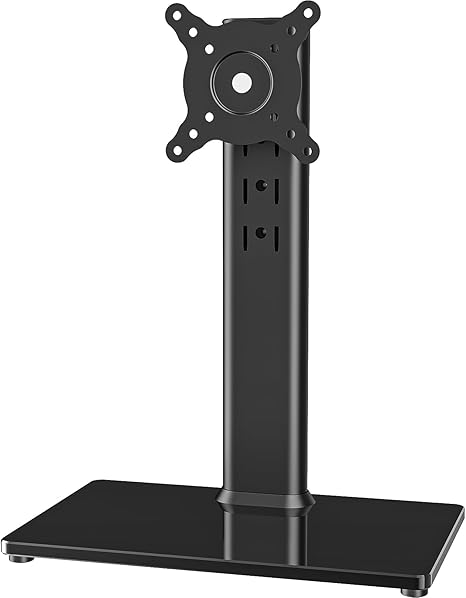 Single LCD Computer Monitor Free-Standing