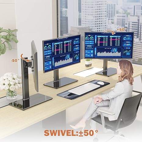 Single LCD Computer Monitor Free-Standing