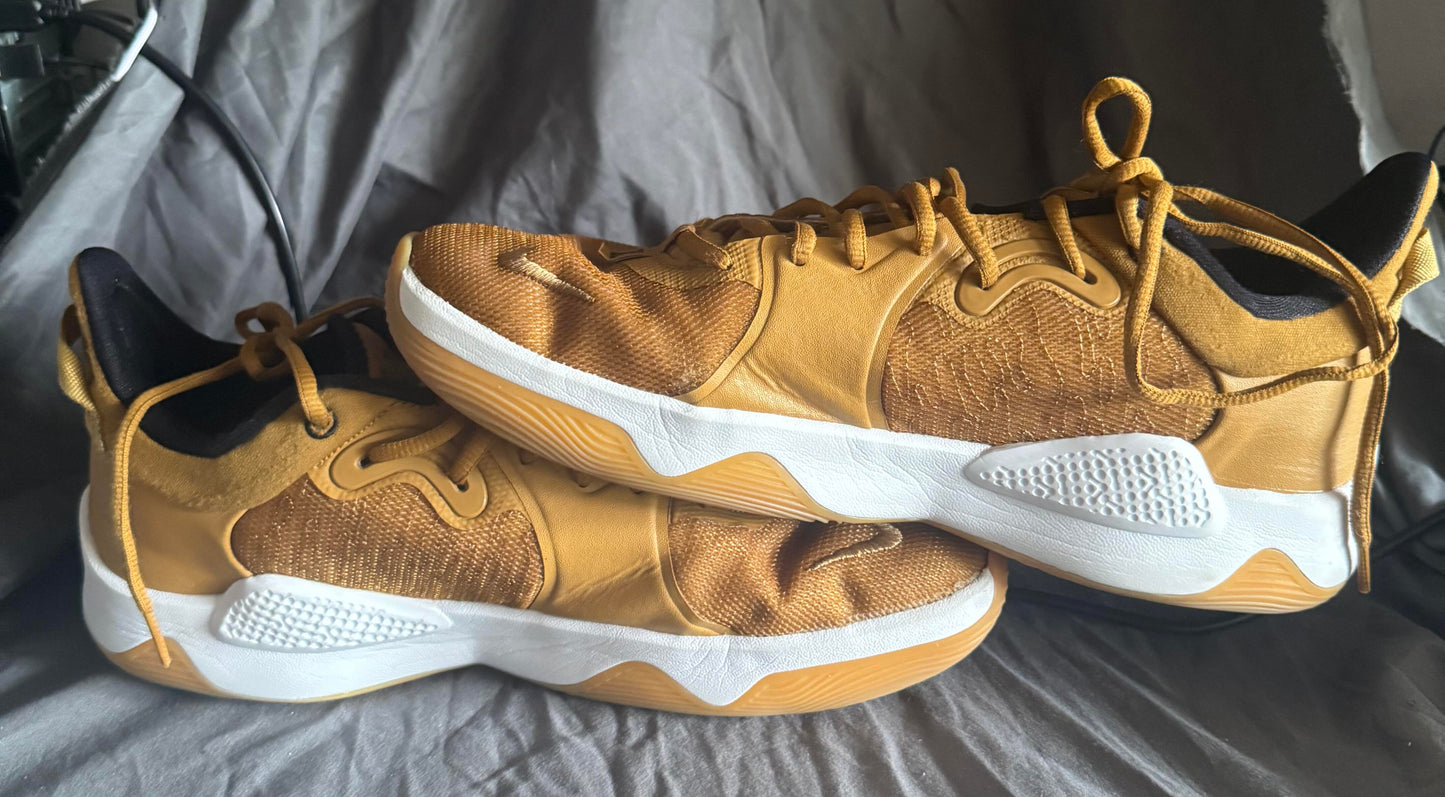 Nike PG 5 Wheat Size 13M Like New