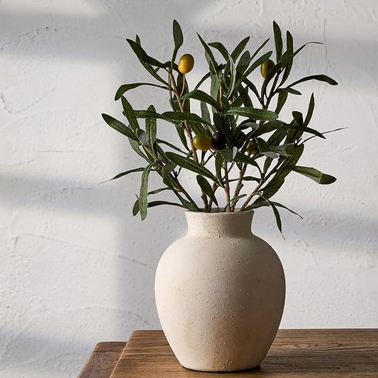 SIDUCAL Ceramic Decorative Flower Vase |