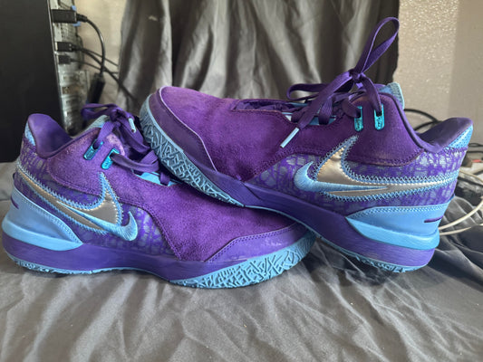 Nike Zoom LeBron NXXT Gen AMPD Summit Lake Hornets Size 8M