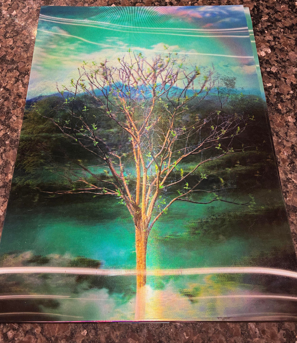 3D Poster (15.5 x 11.5) Four Seasons - #1 Rated Seller