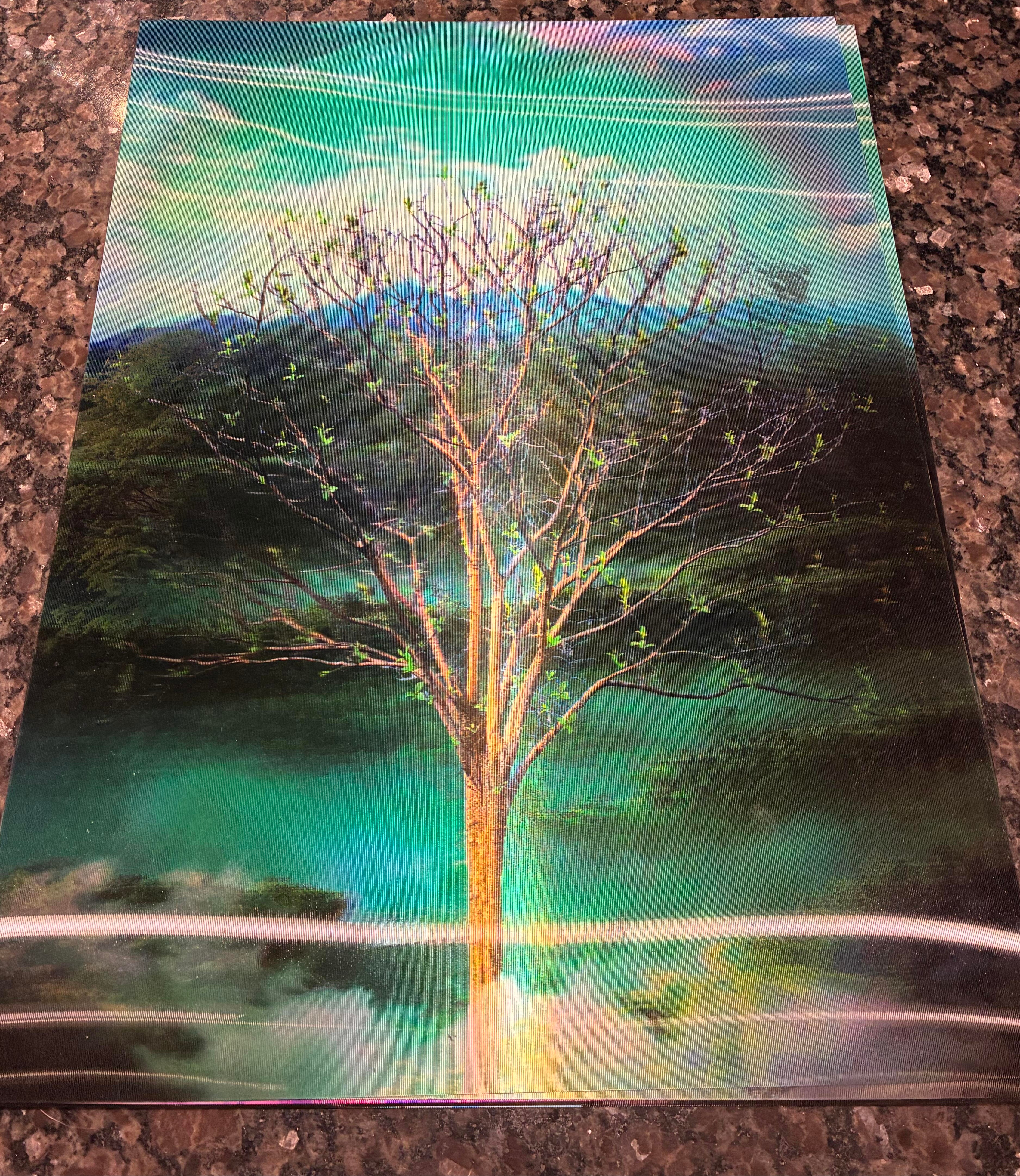 3D Poster (15.5 x 11.5) Four Seasons - #1 Rated Seller