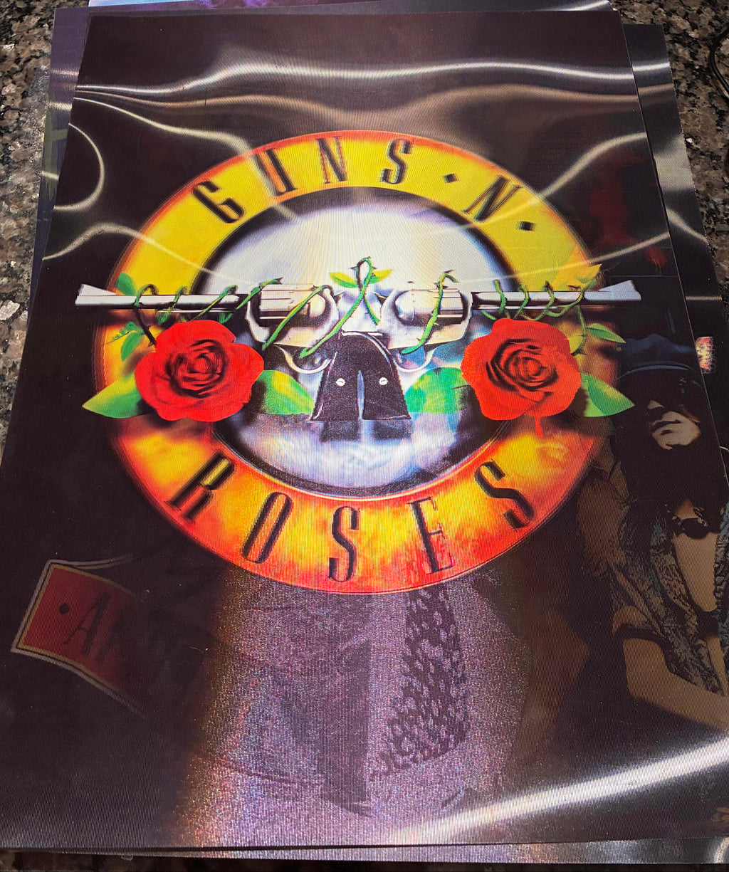 3D Poster (15.5 x 11.5) Guns -N- Roses