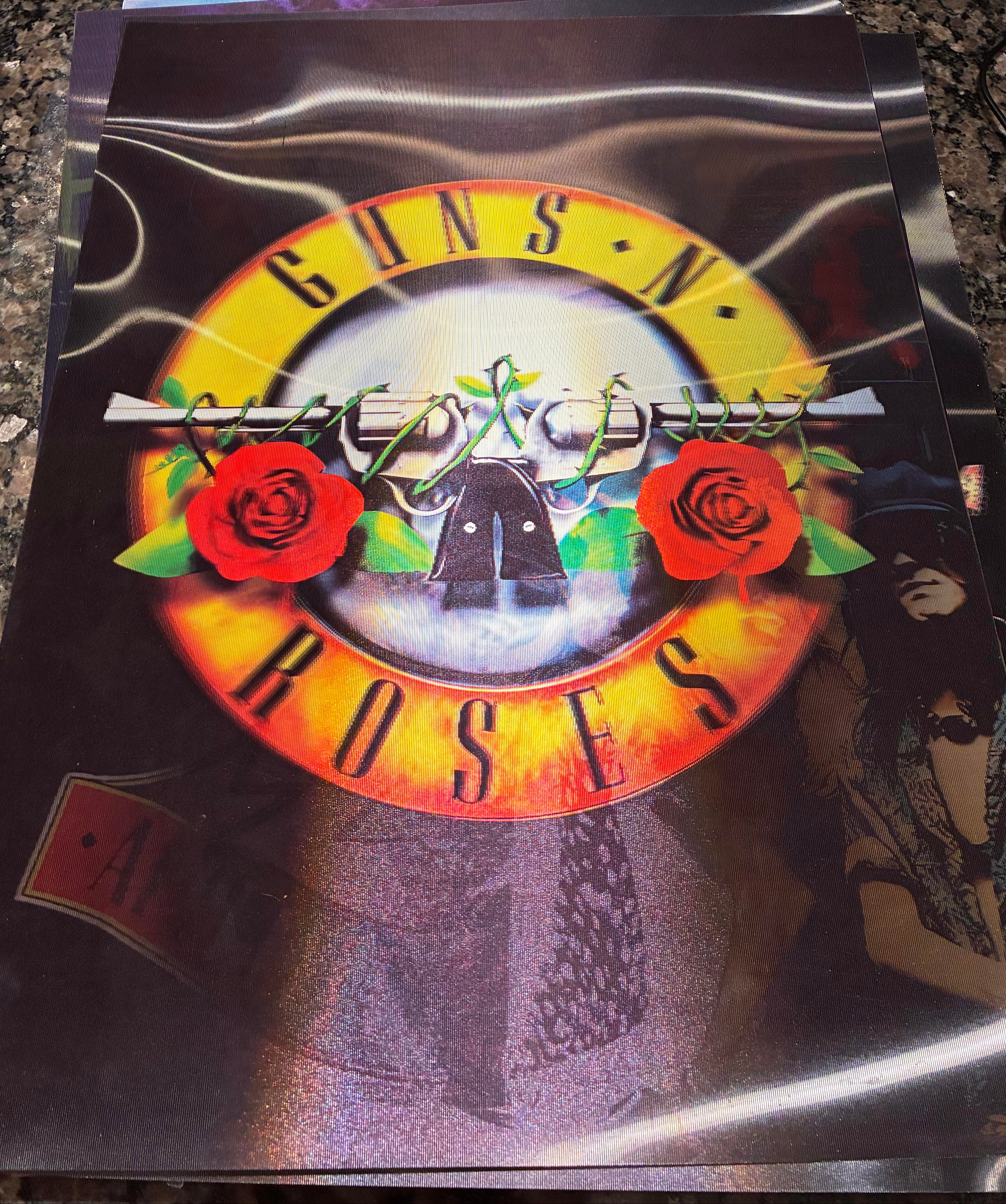3D Poster (15.5 x 11.5) Guns -N- Roses