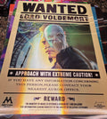 3D Poster (15.5 x 11.5) Harry Potter 2