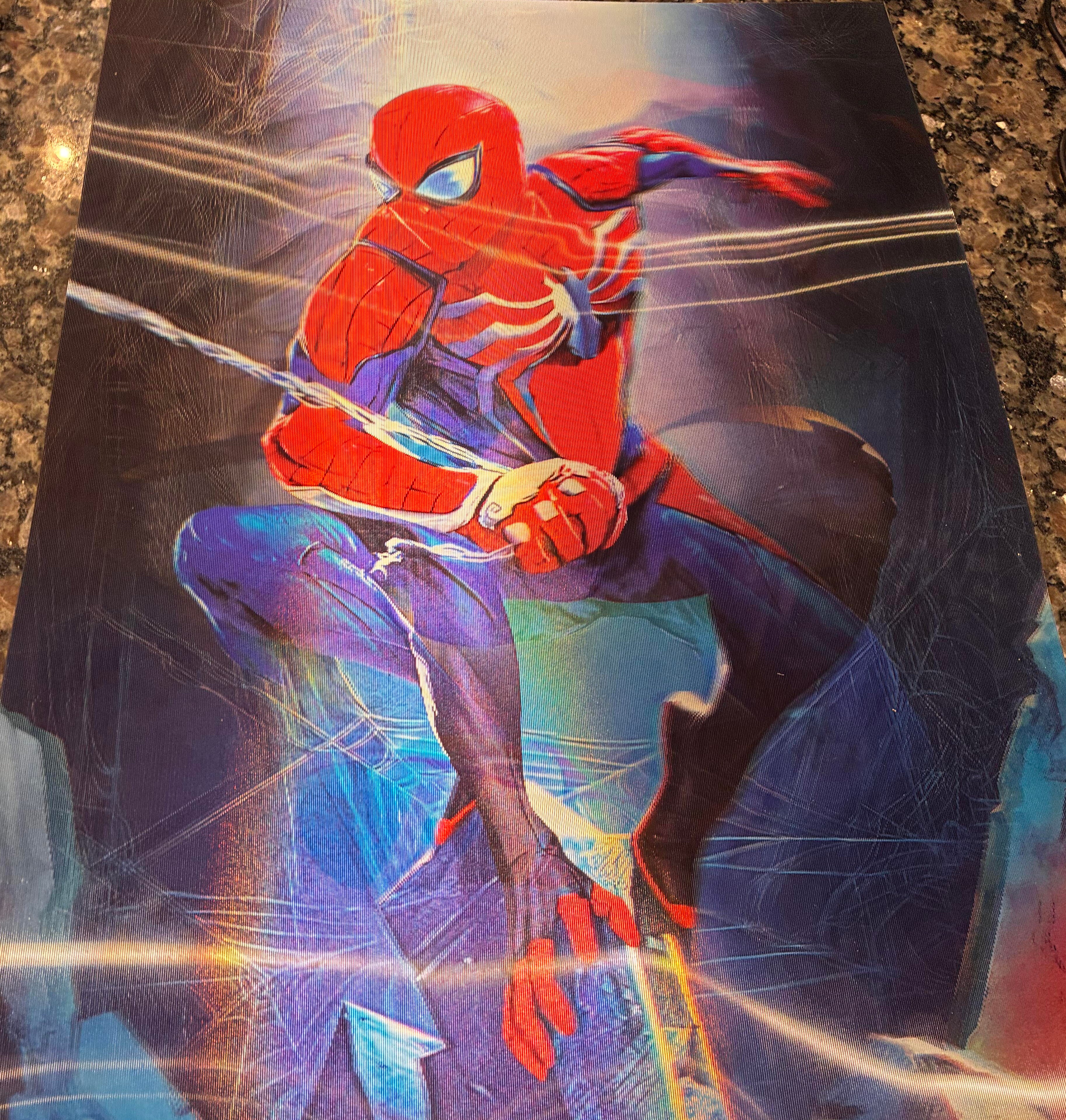 3D Poster (15.5 x 11.5) Spiderman 2