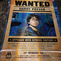 3D Poster (15.5 x 11.5) Harry Potter