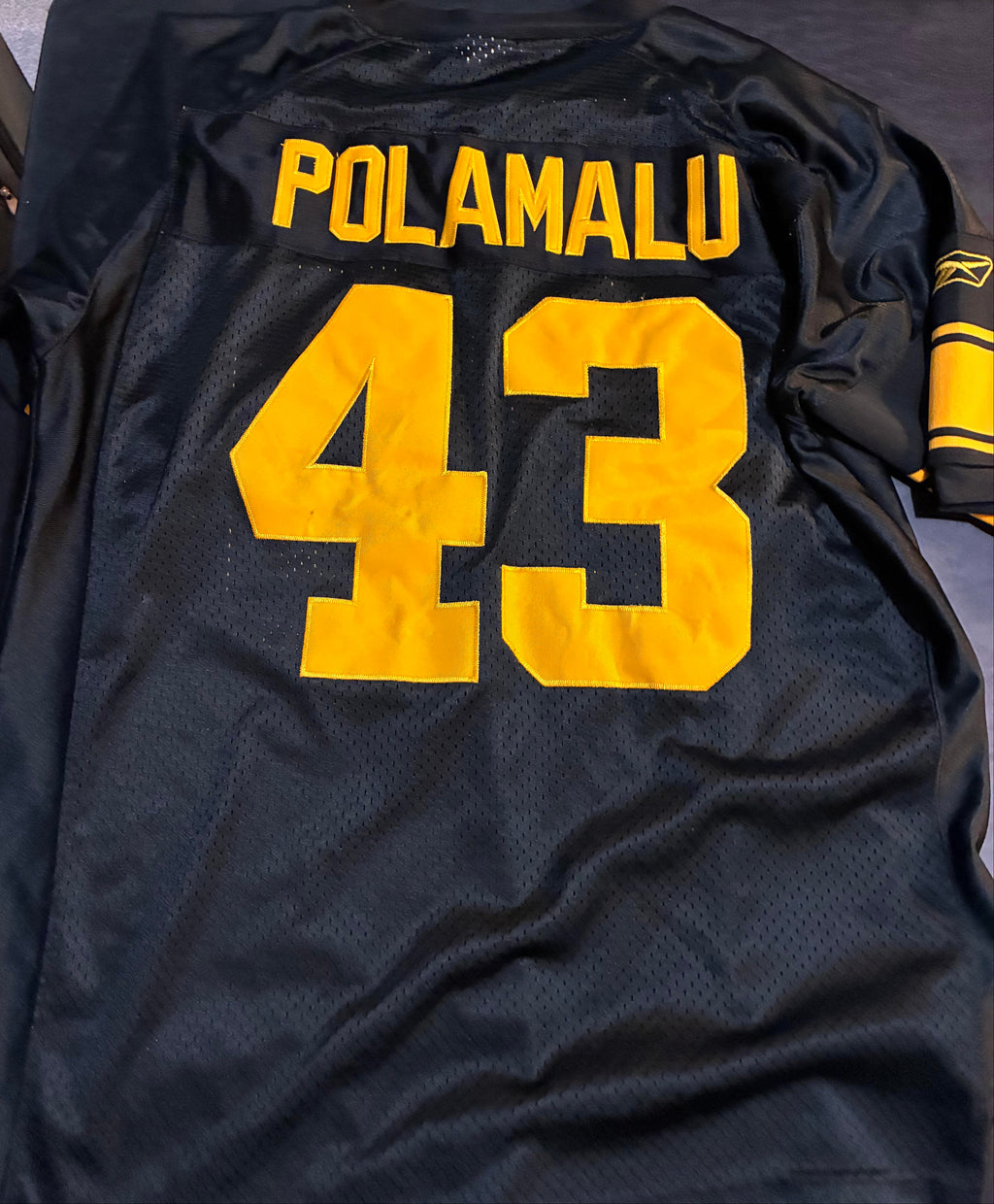 Troy Palamalu Reebok NFL Jersey - Pre-Owned