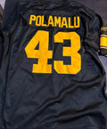 Troy Palamalu Reebok NFL Jersey - Pre-Owned