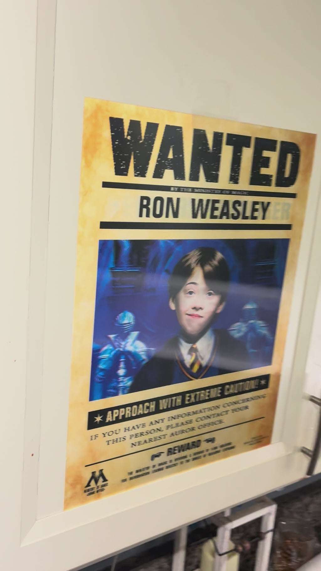 3D Poster (15.5 x 11.5) Harry Potter