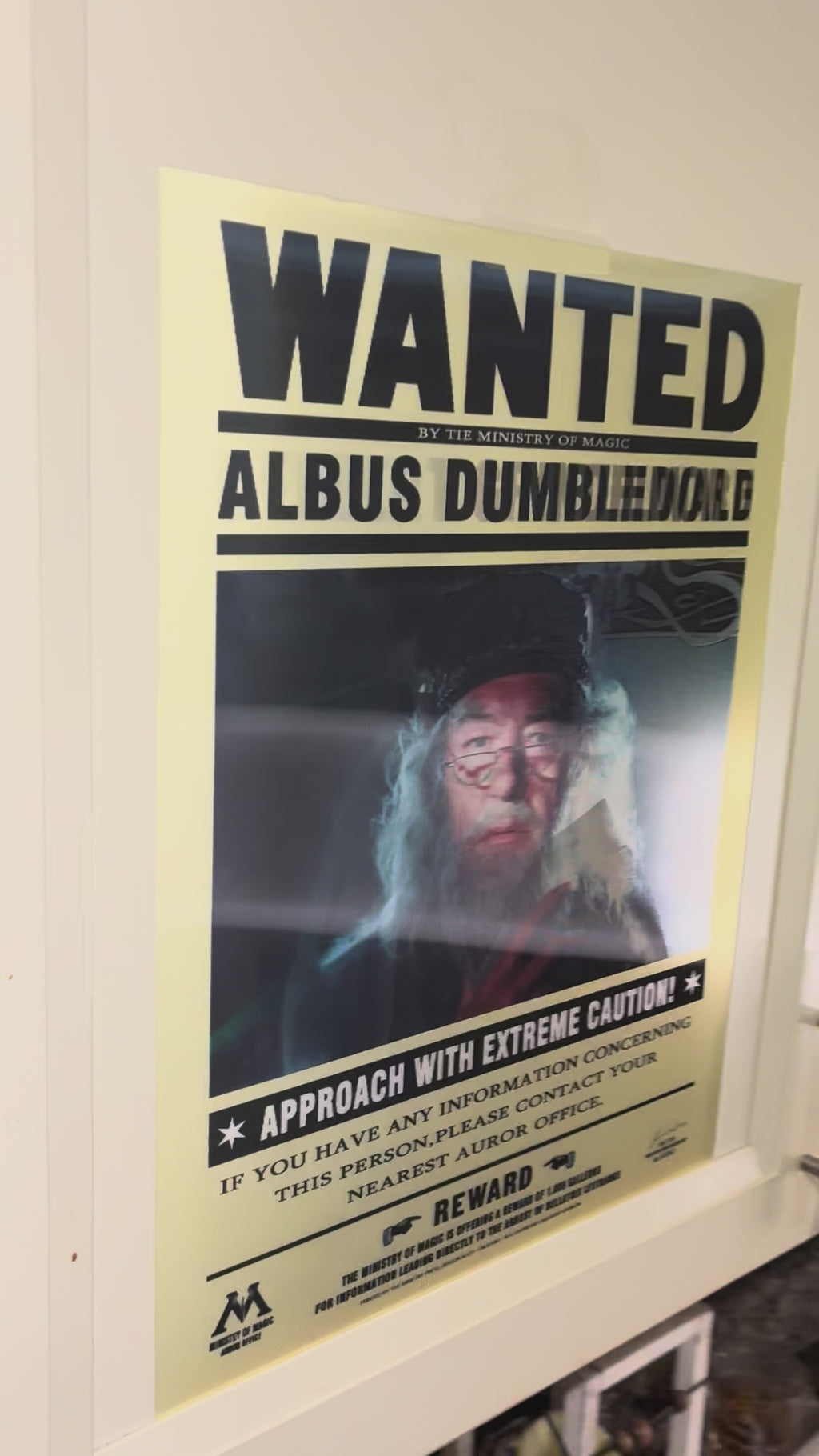 3D Poster (15.5 x 11.5) Harry Potter 2